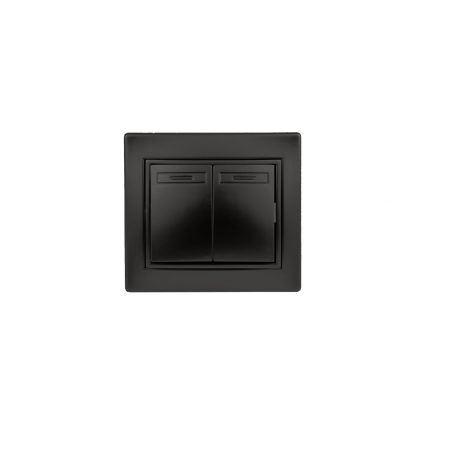 Выключатель двойной 10А-250В IP20 СУ антрацит Intro Plano 1-104-05