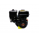 Двигатель бензиновый DM-107P20, 70988