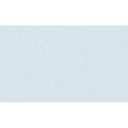 168331-00 обои винил на флиз. основе 1,06*10м