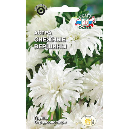 Астра Снежные Вершины страусово перо белая Евро 0,2 ЦП СеДеК, 252796