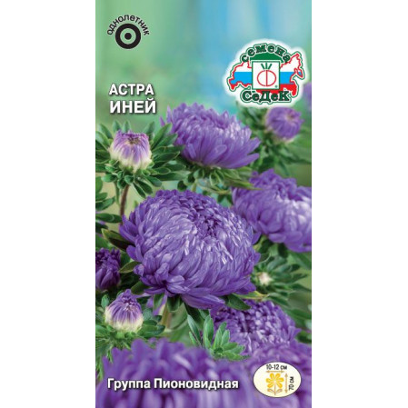 Астра Иней пионовидная серебристо-синяя 0,2г ЦП СеДеК, 252790