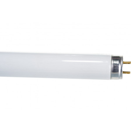 OSRAM T8 G13 18W 6500 590x26 L 18W/765 6K Basic (Ra 70-79) (уп.25шт) (Смоленск)