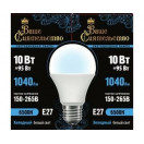 Лампа св/д ЛОН A60 E27 10W(1040lm) 6500K 6K 108*60 матов, пласт/алюм. ВАШЕ СИЯТЕЛЬСТВО